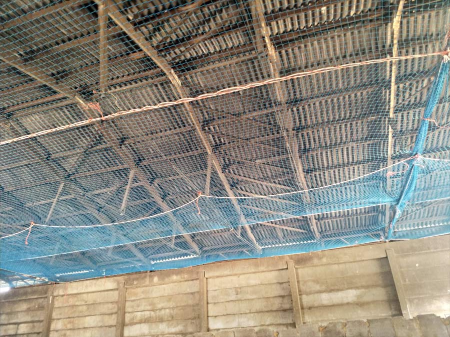 Netze Dachsanierung